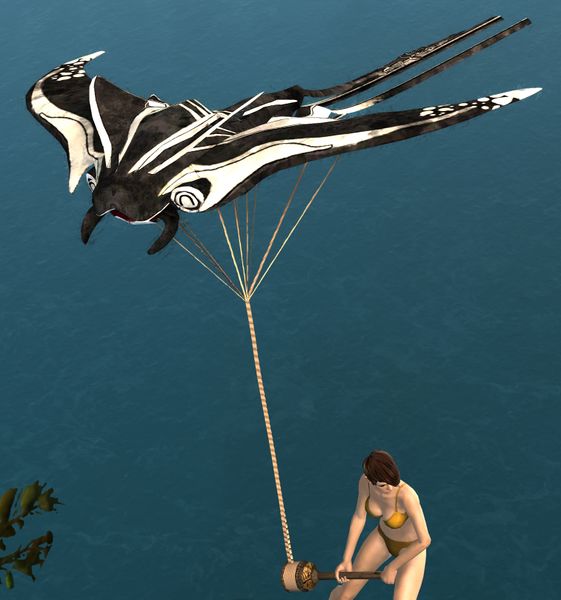 File:Zebra Skimmer Kite.jpg