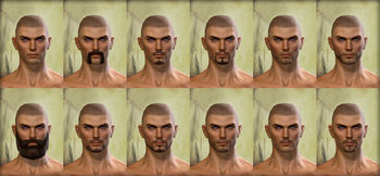 Physical appearance/Human - Guild Wars 2 Wiki (GW2W)