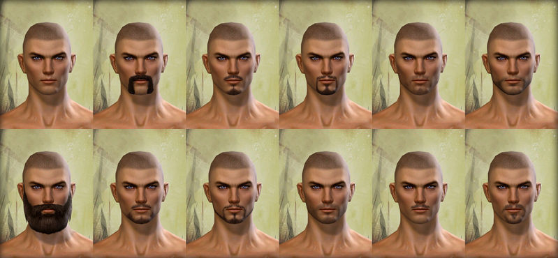 File:Human male facial hair.jpg