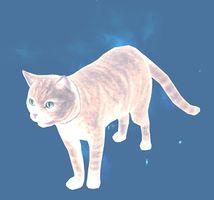 Mini Ghostly Cat.jpg