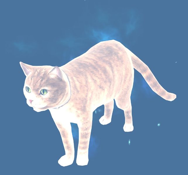 File:Mini Ghostly Cat.jpg