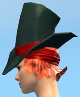 Ringmaster's Hat female side.jpg