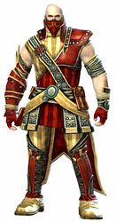 Heritage armor (medium) norn male front.jpg