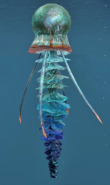 File:Jellyfish.jpg