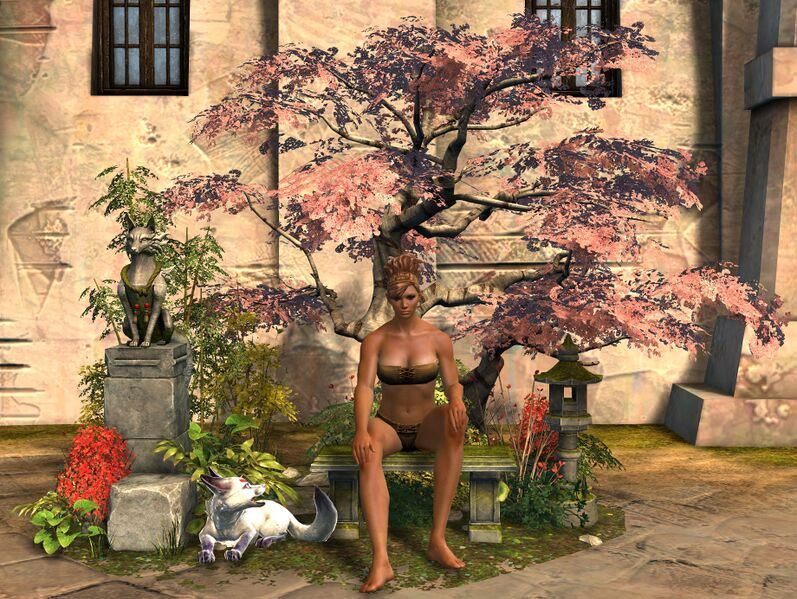 File:Peaceful Shrine Chair norn female.jpg
