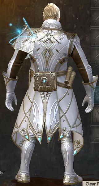 File:Astral Scholar Outfit norn male back.jpg