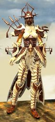 Funerary armor (heavy) sylvari female front.jpg
