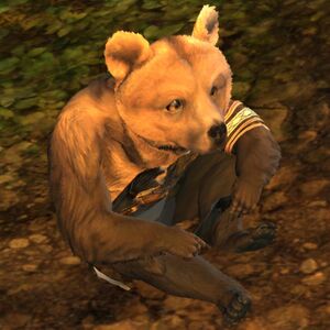 Lowland Kodan cub Stoutheart sit.jpg