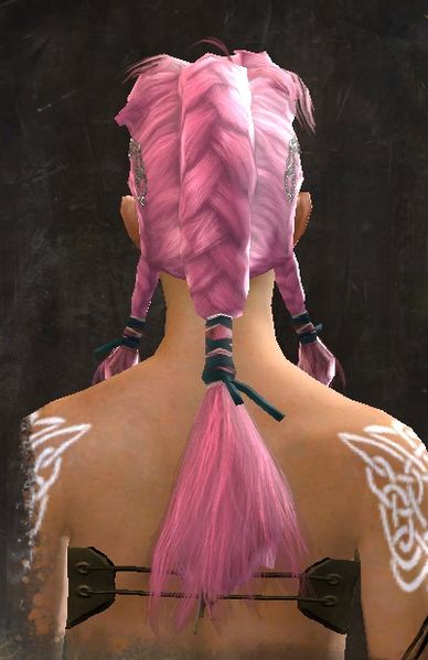 File:Unique norn female hair back 16.jpg