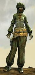 Corsair armor (light) sylvari female front.jpg
