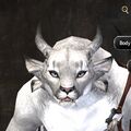 Exclusive face - charr female 3.jpg