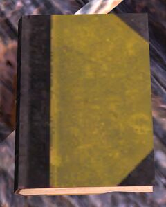 Book (yellow).jpg