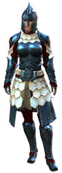 Splint armor norn female front.jpg