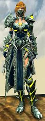 Warbeast armor (medium) human female front.jpg