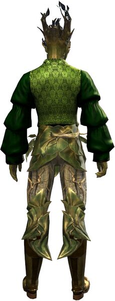 File:Cherry Blossom Clothing Outfit sylvari male back.jpg