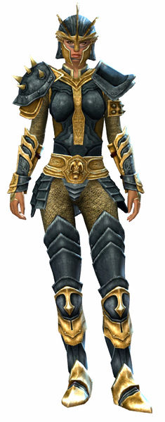 File:Heritage armor (heavy) norn female front.jpg