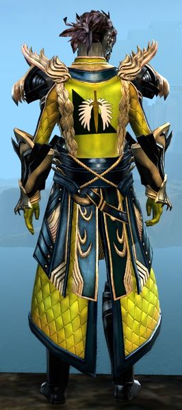 File:Ornate Guild armor (medium) sylvari male back.jpg