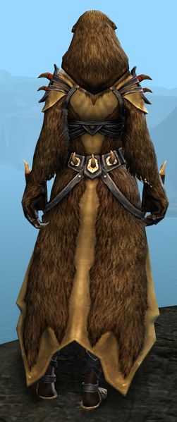 File:Bear Ceremonial armor norn female back.jpg