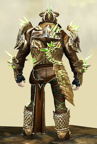 File:Blossoming Mist Shard armor (medium) norn male back.jpg