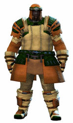 Chainmail armor norn male front.jpg