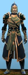 Warlord's armor (medium) human male front.jpg