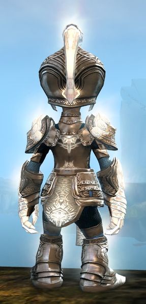 File:Radiant armor (heavy) asura male back.jpg