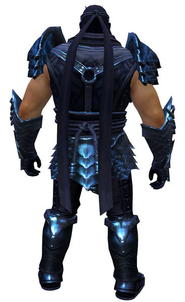 File:Shadow Assassin Outfit norn male back.jpg