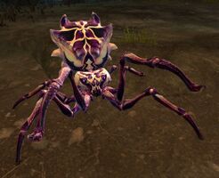 Cave Spider (alt2).jpg
