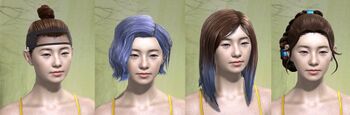 Human female hair styles 3.jpg
