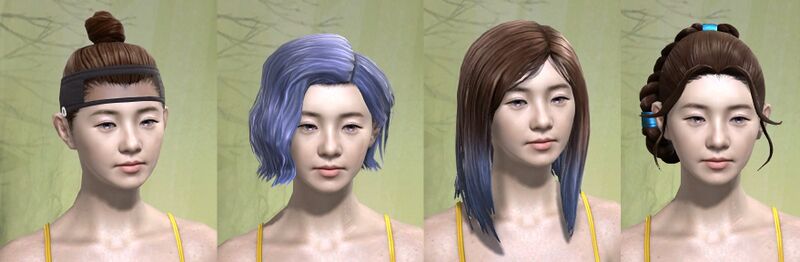 File:Human female hair styles 3.jpg