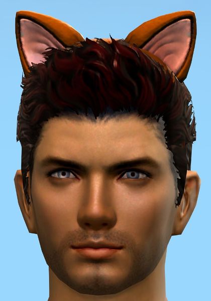 File:Furrocious Cat Ears.jpg