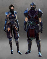 Guild Wars Assassin Armor