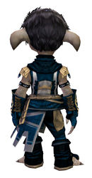 Vigil's Honor armor (light) asura male back.jpg
