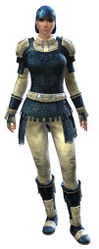 Worn Chain armor norn female front.jpg