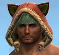 Appearance on a male norn.