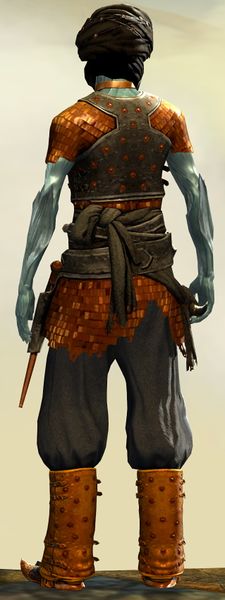 File:Corsair armor (medium) sylvari male back.jpg