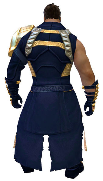 File:Armor of Koda (medium) norn male back.jpg