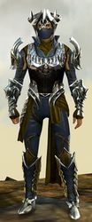 Mist Shard armor (medium) human male front.jpg