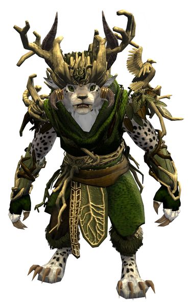 File:Nature's Oath Outfit charr female front.jpg