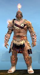 Flamewrath armor norn male front.jpg