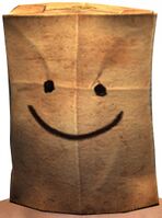Paper Bag Helm (Happy).jpg