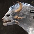 Exclusive face - charr male 5 side.jpg