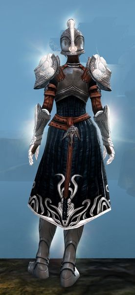 File:Radiant armor (medium) human female back.jpg