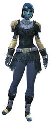 Chain armor sylvari female front.jpg