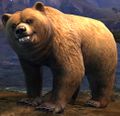 Bear (NPC).jpg