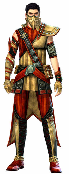 File:Heritage armor (medium) human male front.jpg