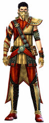 Heritage armor (medium) human male front.jpg