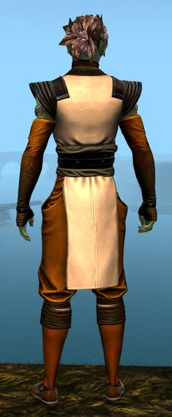 File:Light Monastery armor sylvari male back.jpg
