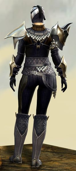 File:Elegy armor (medium) norn female back.jpg