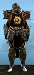 Ornate Guild armor (heavy) sylvari male front.jpg